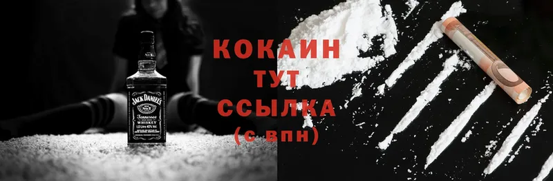 Cocaine Эквадор  где купить наркоту  Моздок 