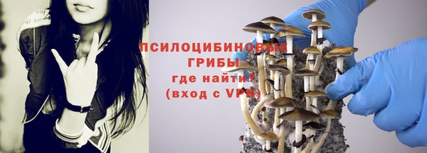 2c-b Надым