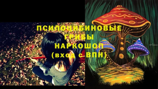 2c-b Надым