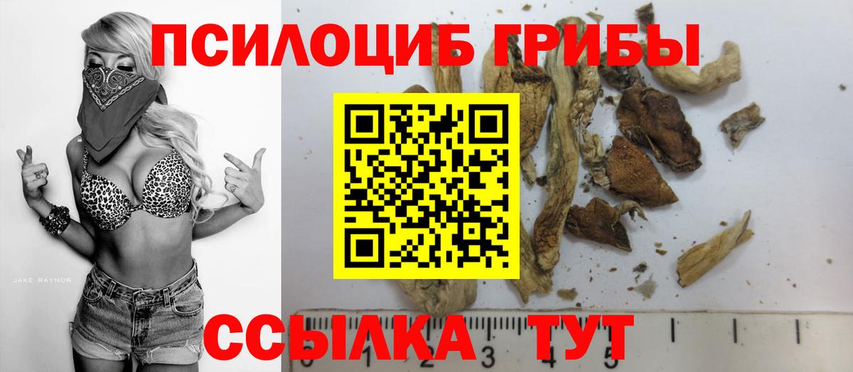Галлюциногенные грибы Psilocybe Моздок